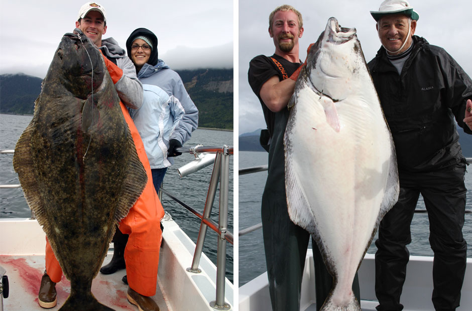 Alaska Halibut Fishing Trips