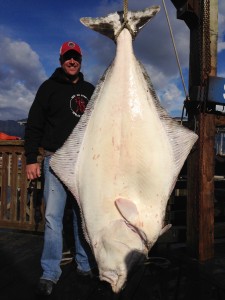 271 halibut 02