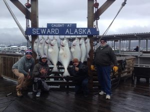 Alaskan halibut
