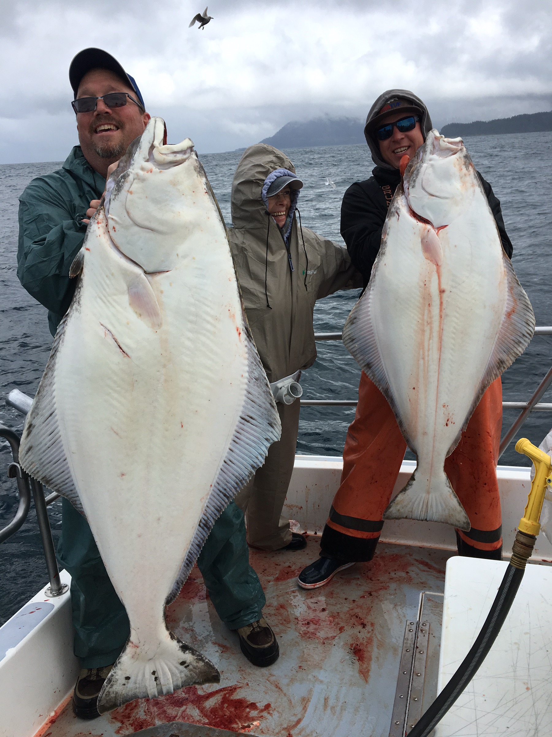 June 11 – Southern Flatfish.