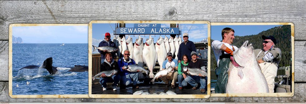 Seward Fishing