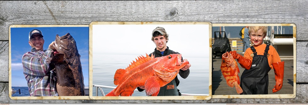 Alaska Lingcod Fishing