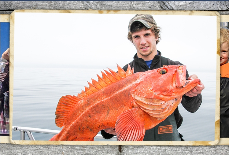 How to Catch Yelloweye Rockfish- Tips for Fishing for Lingcod