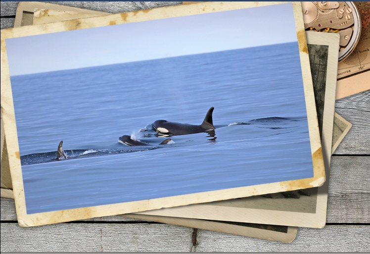 Seward Alaska Weather