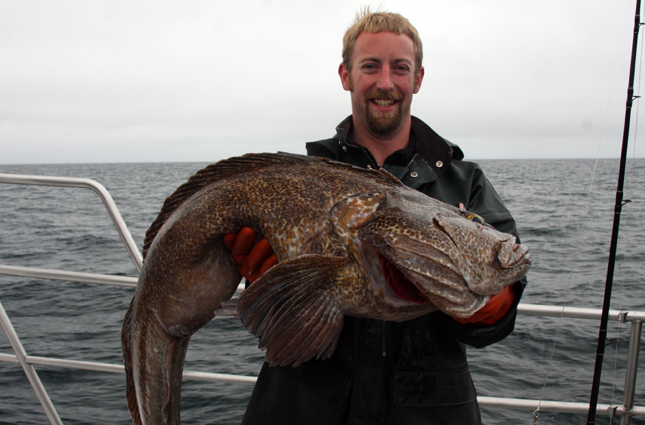 Alaska Lingcod