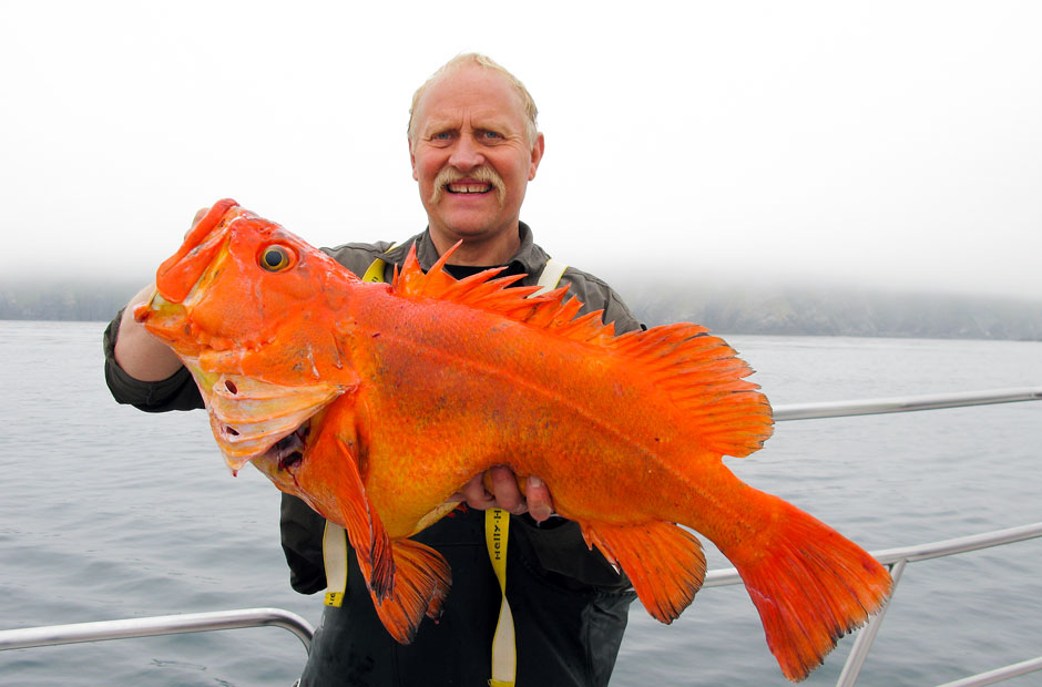 Alaskan Yelloweye Rockfish