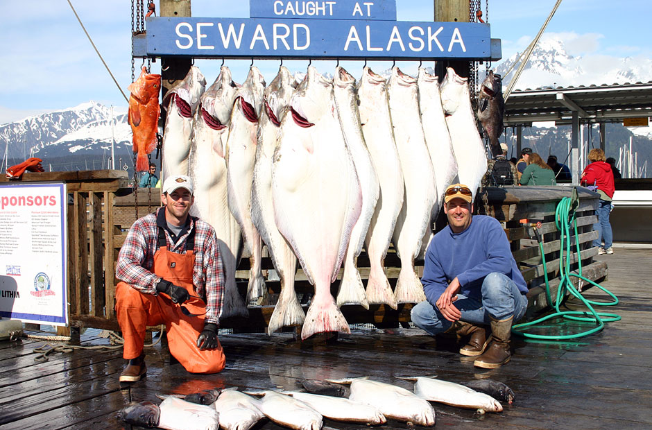 Big Halibut Catch Seward